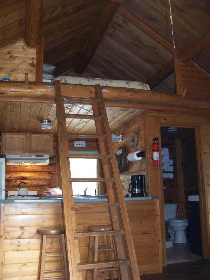 Box Canyon Cabins Seward Exterior foto